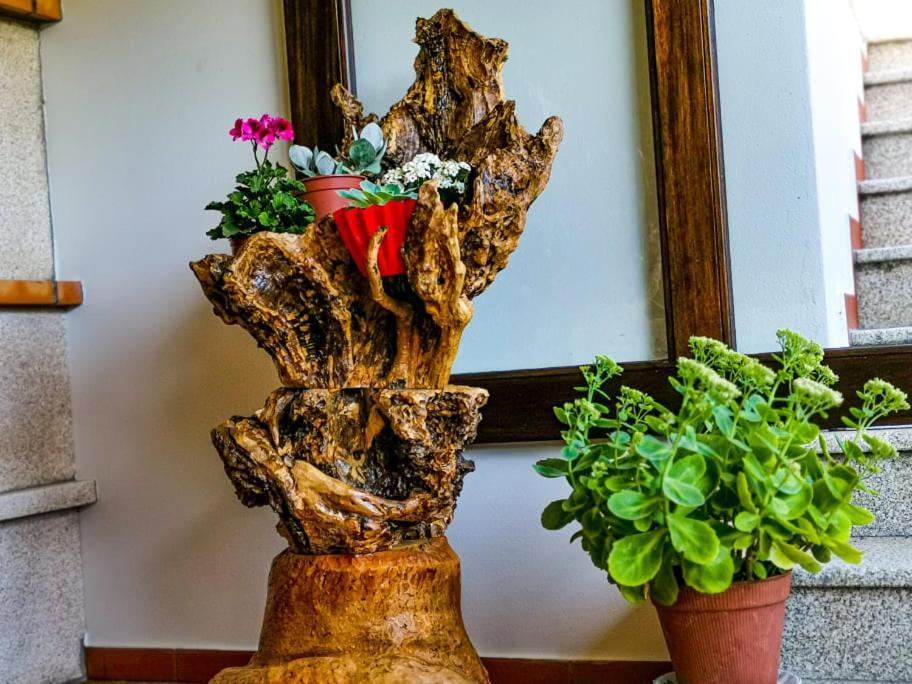 Vila Seca  Casa Carolina 게스트하우스 외부 사진